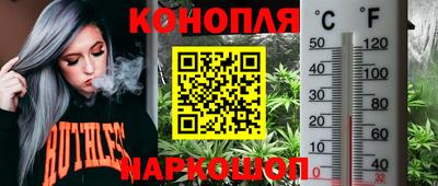 гидропоника Берёзовский